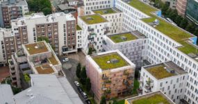 Sostenibilità-sui-tetti